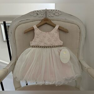 🦢 9 Mth Pale Pink~Ivory Embroidered Baby Dress & Bloomers NWT American Princess